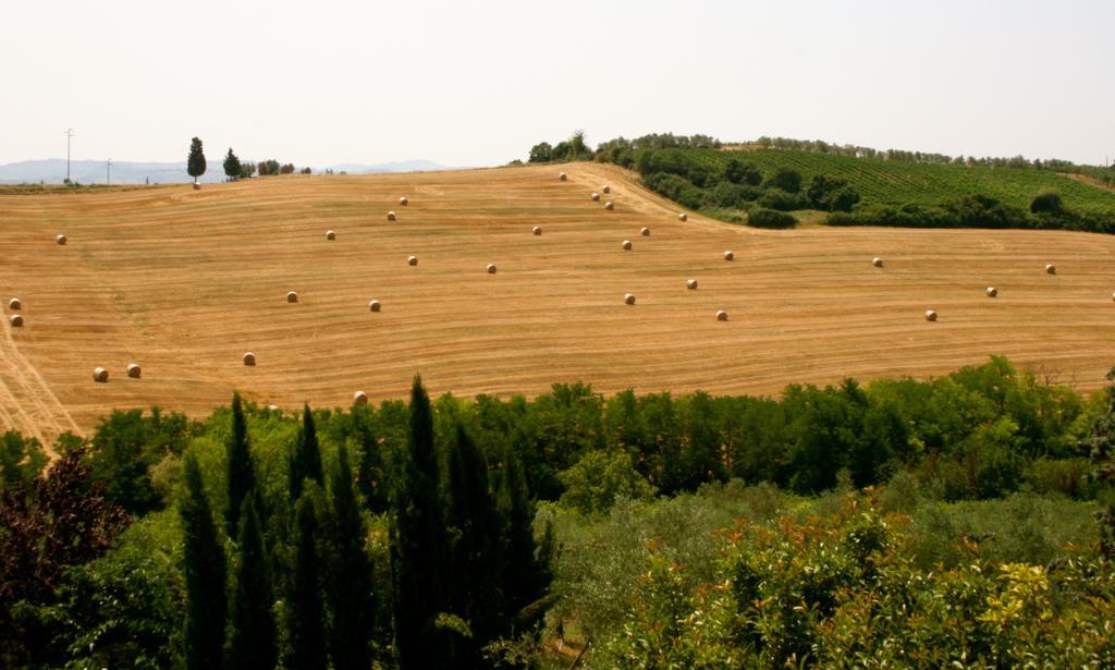 Apartmán Podere Gattabigia Lastra a Signa Exteriér fotografie